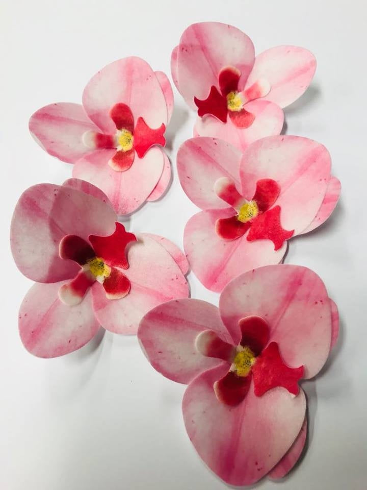 Vahvlist orhidee roosa (70mm)