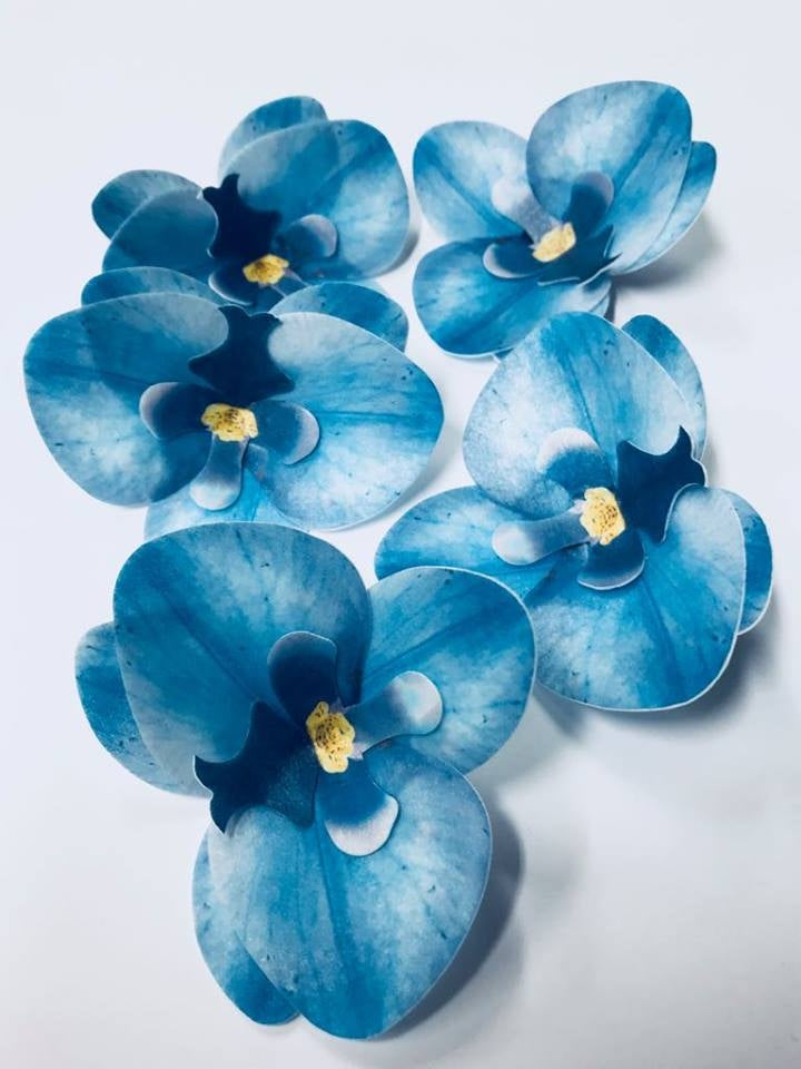 Vahvlist orhidee sinine (70mm)