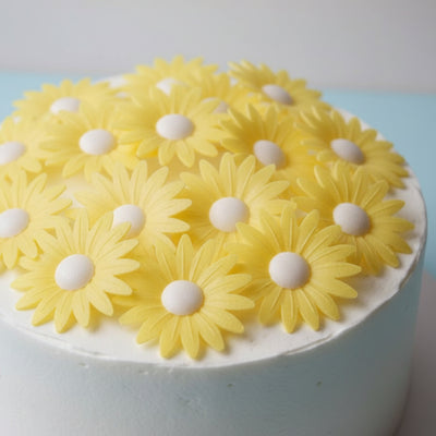 Vahvlist Karikakar Roosa/Kollane/Sinine/Valge Kollane / 10Tk