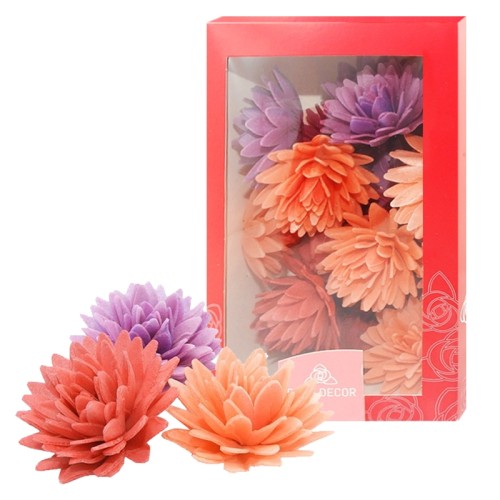 Vahvlist aster mix 5.5cm 3tk