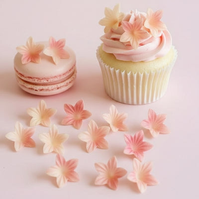 Vahvlist Roosa Ombre Minililled 25Tk