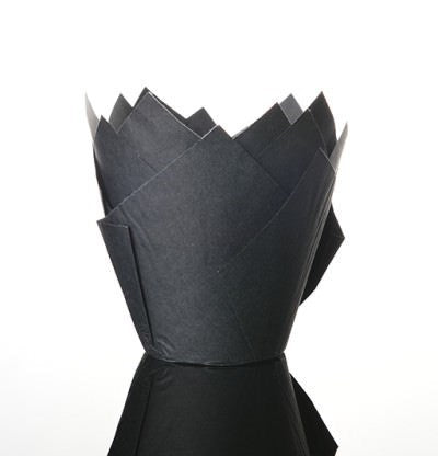 Tulbi Muffinivormid 20Tk Must