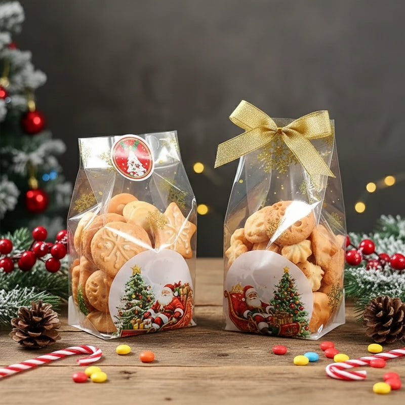 Põhja- ja küljevoldiga kinkekotid Jõulumees 85 x 236mm 10 tk