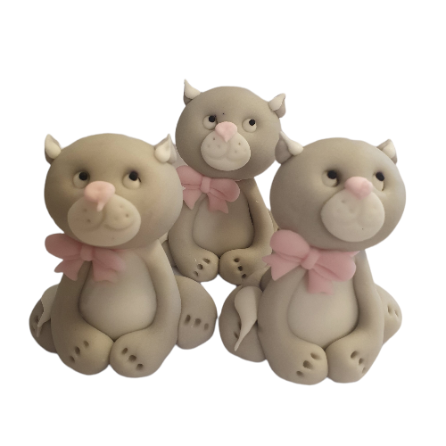 Suhkrust hall kass 70x55 mm