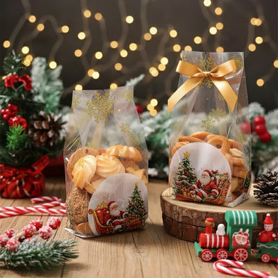 Põhja- ja küljevoldiga kinkekotid Jõulumees 85 x 236mm 10 tk