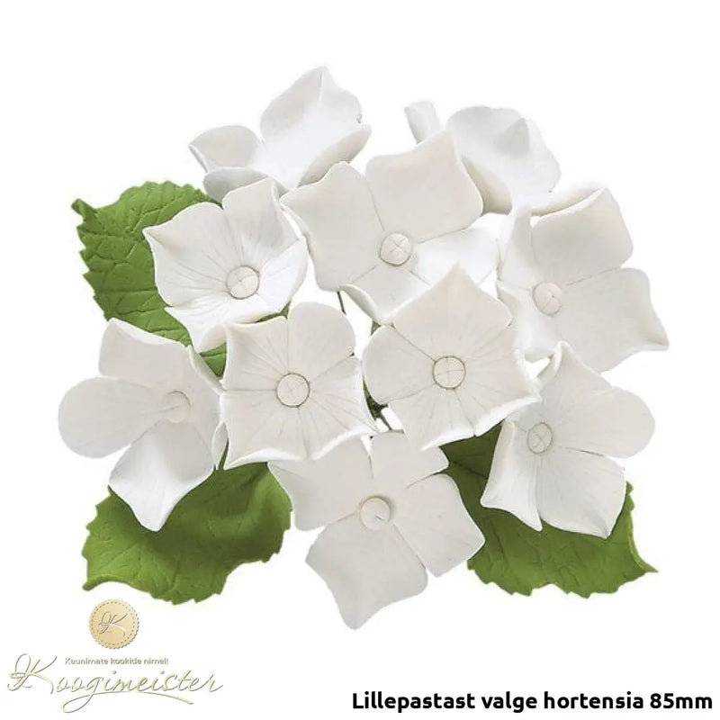 Lillepastast Valge Hortensia 85Mm