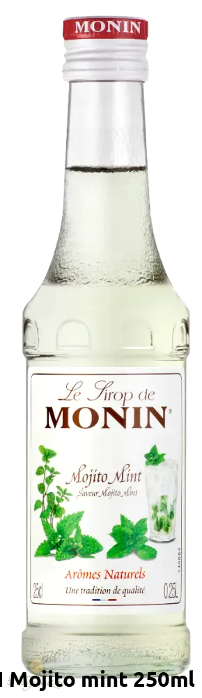 Monin Mojito Mint 250Ml Toidukaubad