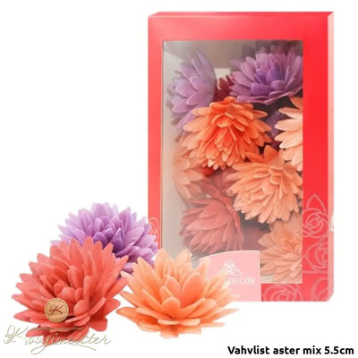 Vahvlist aster mix 5.5cm 3tk