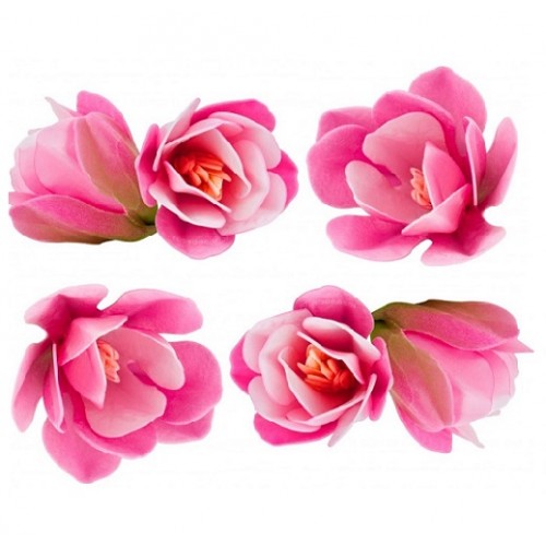 Vahvlist Magnooliad Roosa 5-7Cm 6Tk Toidukaubad