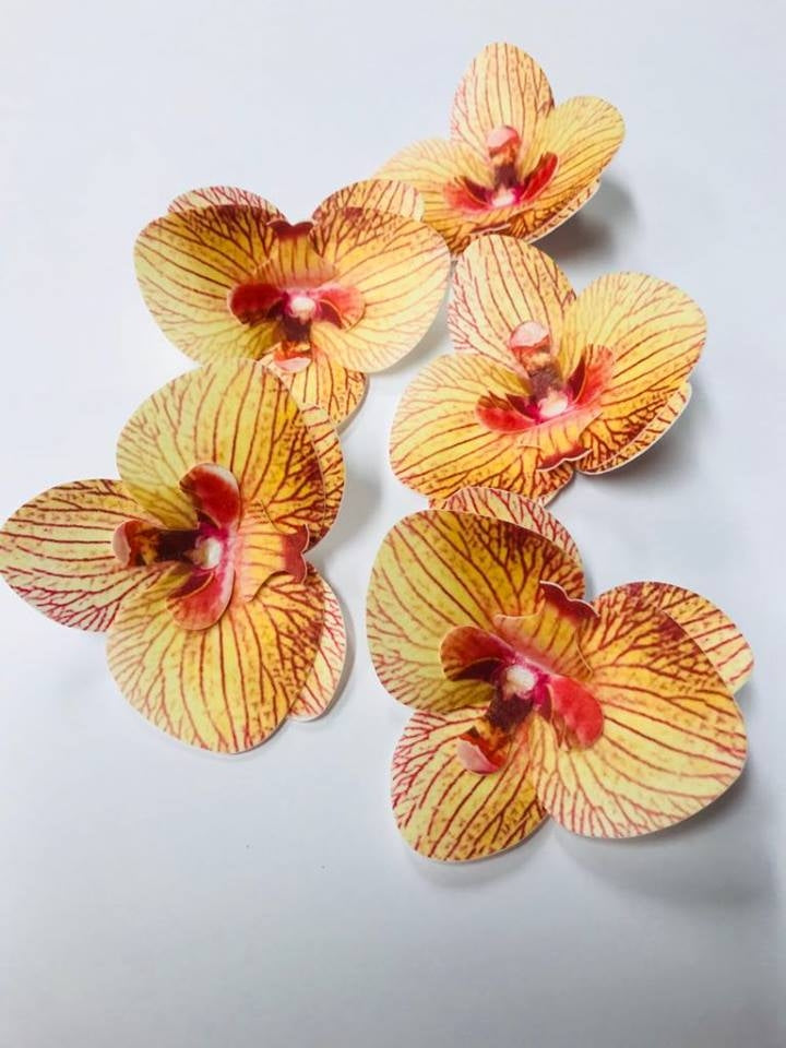 Vahvlist orhidee oranž (70mm)