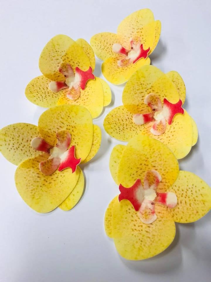 Vahvlist orhidee kollane (70mm)