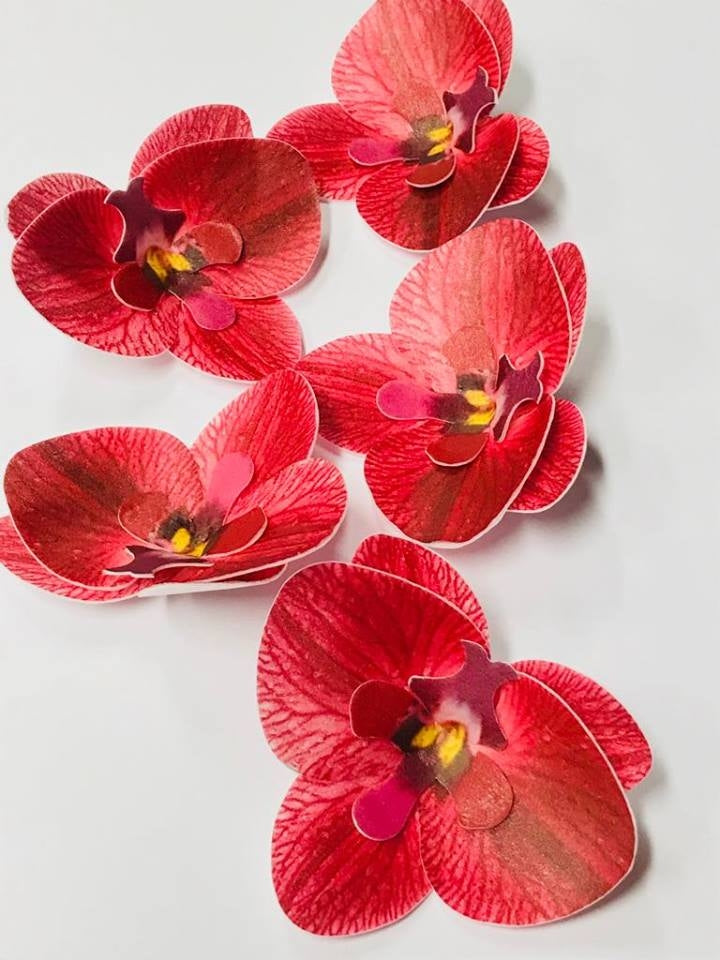 Vahvlist orhidee punane (70mm)