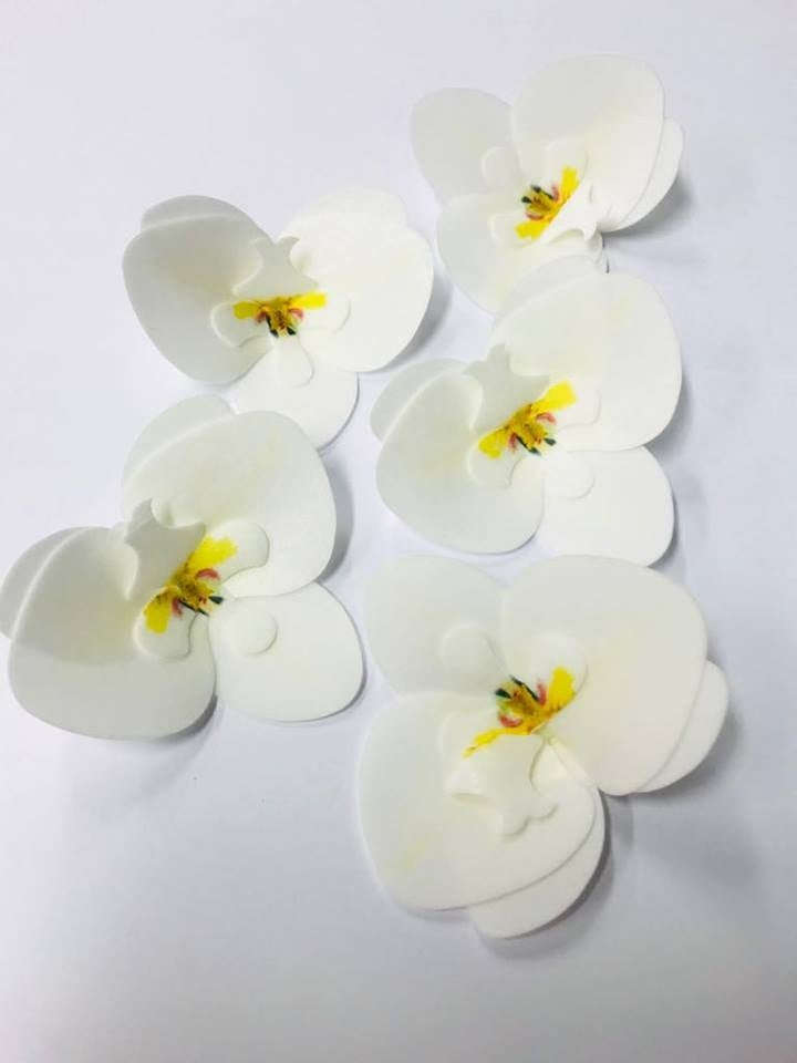 Vahvlist orhidee valge (70mm)